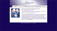 Desktop Screenshot of pnsllc.com